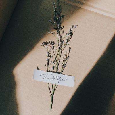 必博手机网页版下载手机版