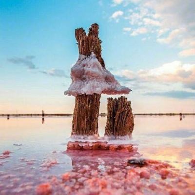 金沙集团186cc成色购买渠道