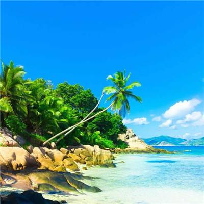 安博app官方网站