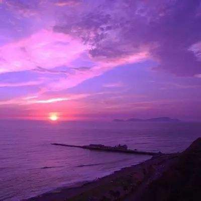 开云体云app下载手机版