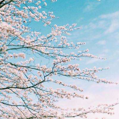 365体育手机版入口